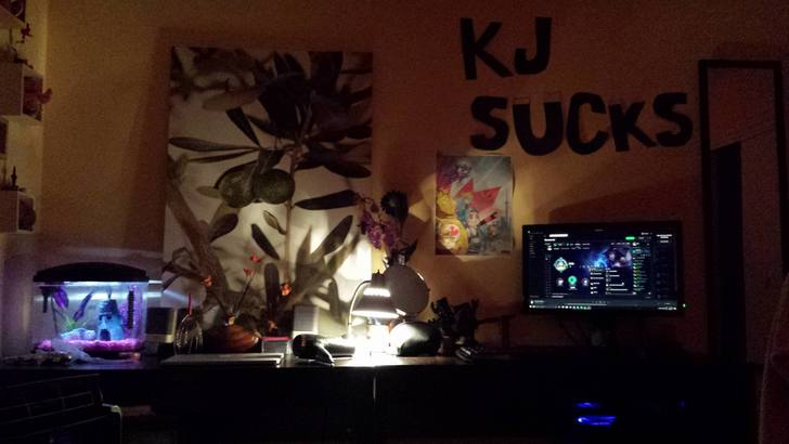 Juls PC Desk.jpg